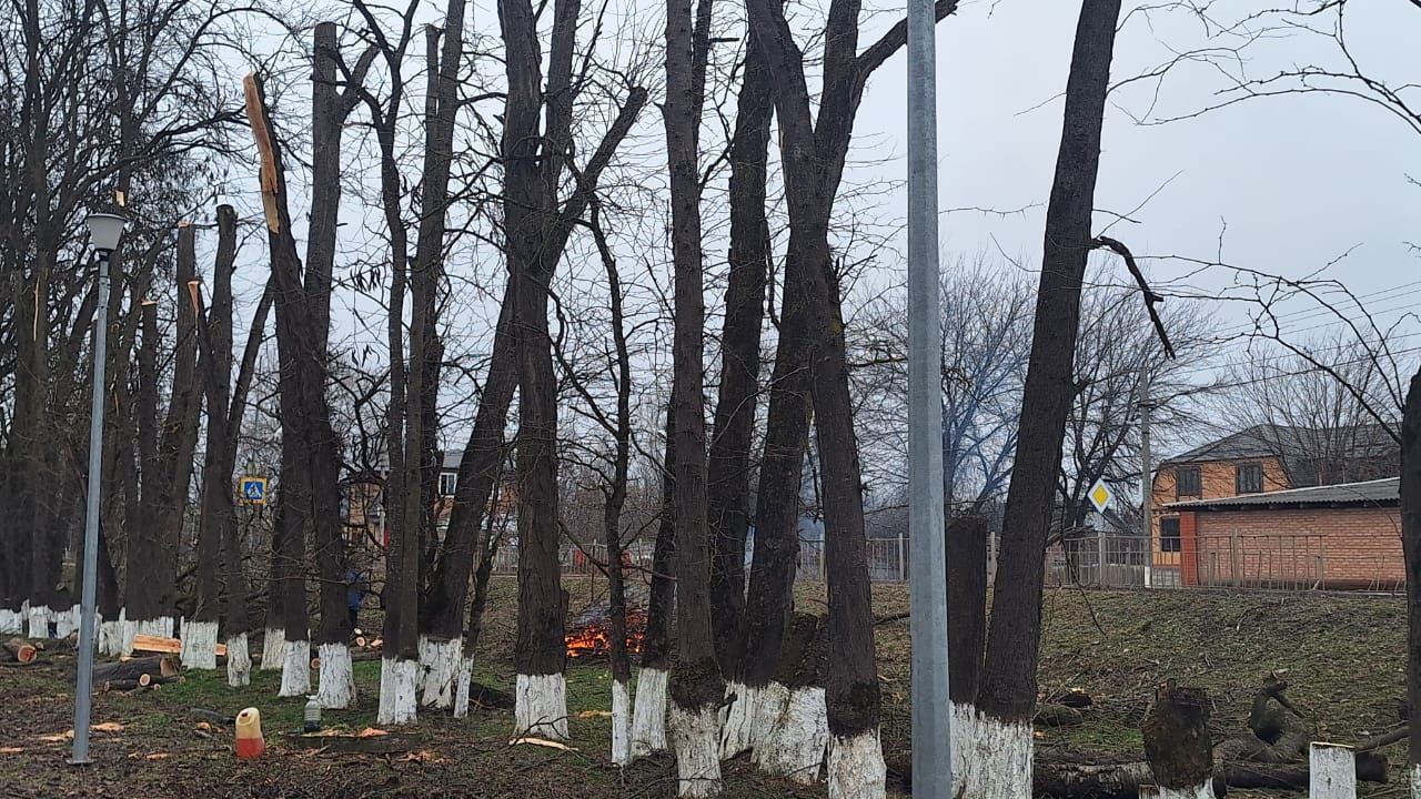 Обновление парка в Малгобеке по поручению Главы Ингушетии 