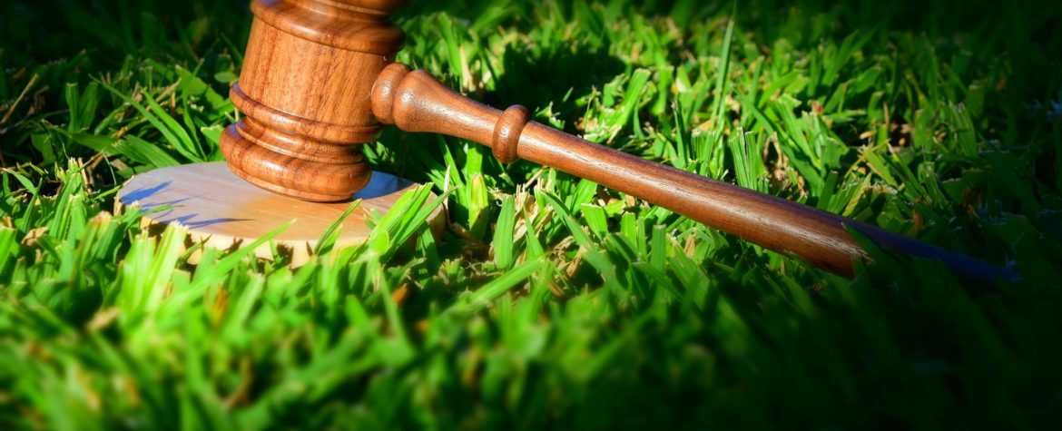 В Ингушетии устраняют нарушения в сфере охраны окружающей среды 