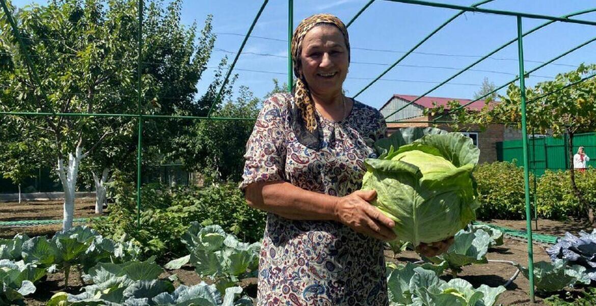 В Ингушетии продлили приём заявок на конкурс личных подсобных хозяйств