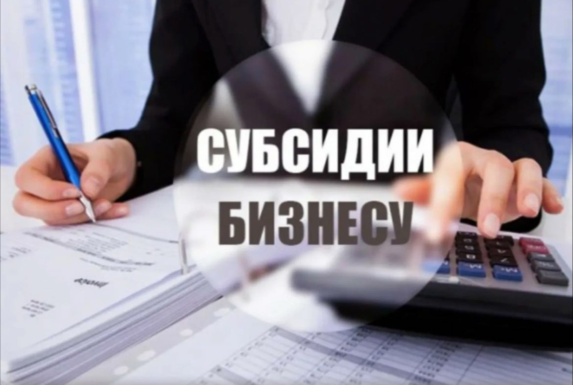 Ингушетия получит свыше 300 млн рублей на поддержку бизнеса в 2026 году 